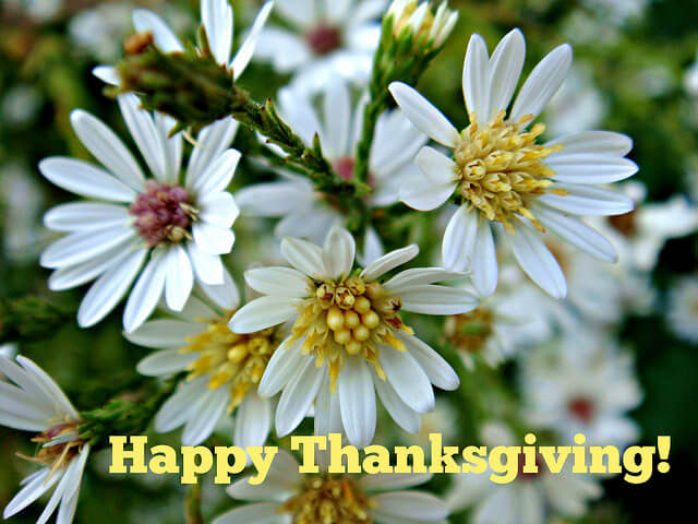 A DIALECT FOR SAYING THANKS